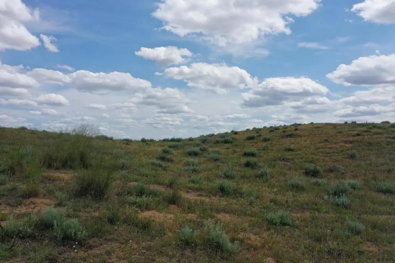 Photo 9 — TX-152, Wheeler, TX 79096
