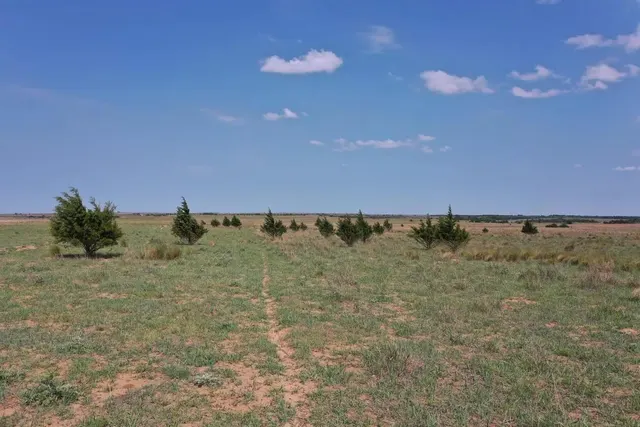 Photo 7 — County Road C, Wheeler, TX 79096