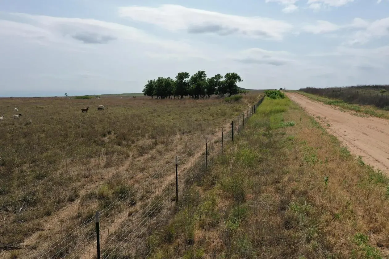 Photo 20 — County Road C, Wheeler, TX 79096
