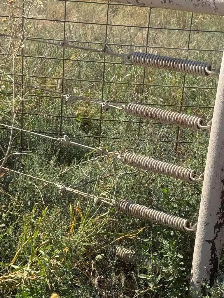 Photo 9 — 0 FM 1264, New Deal, TX 79350