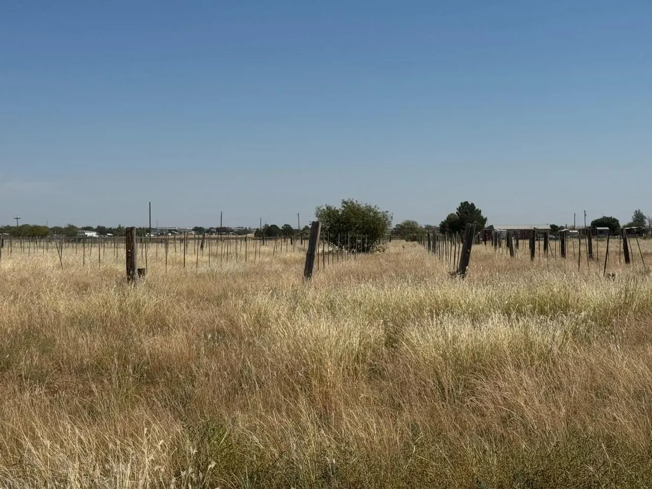Photo 3 — 0 FM 1264, New Deal, TX 79350
