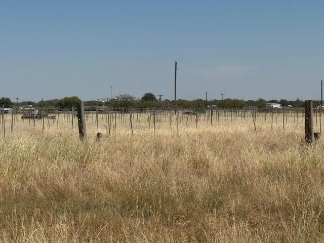 Photo 5 — 0 FM 1264, New Deal, TX 79350