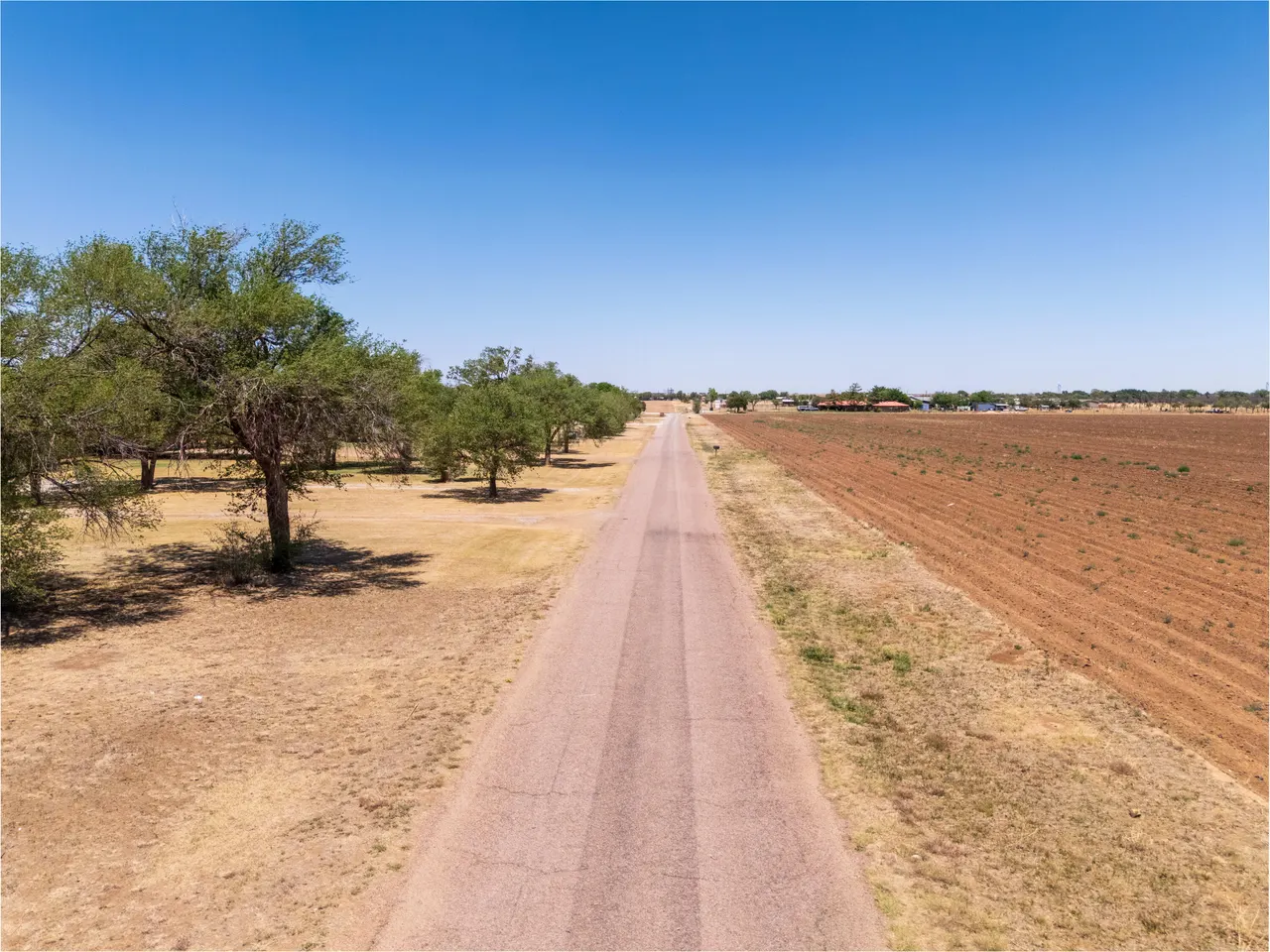 Photo 11 — N County Road 1600, Shallowater, TX 79363