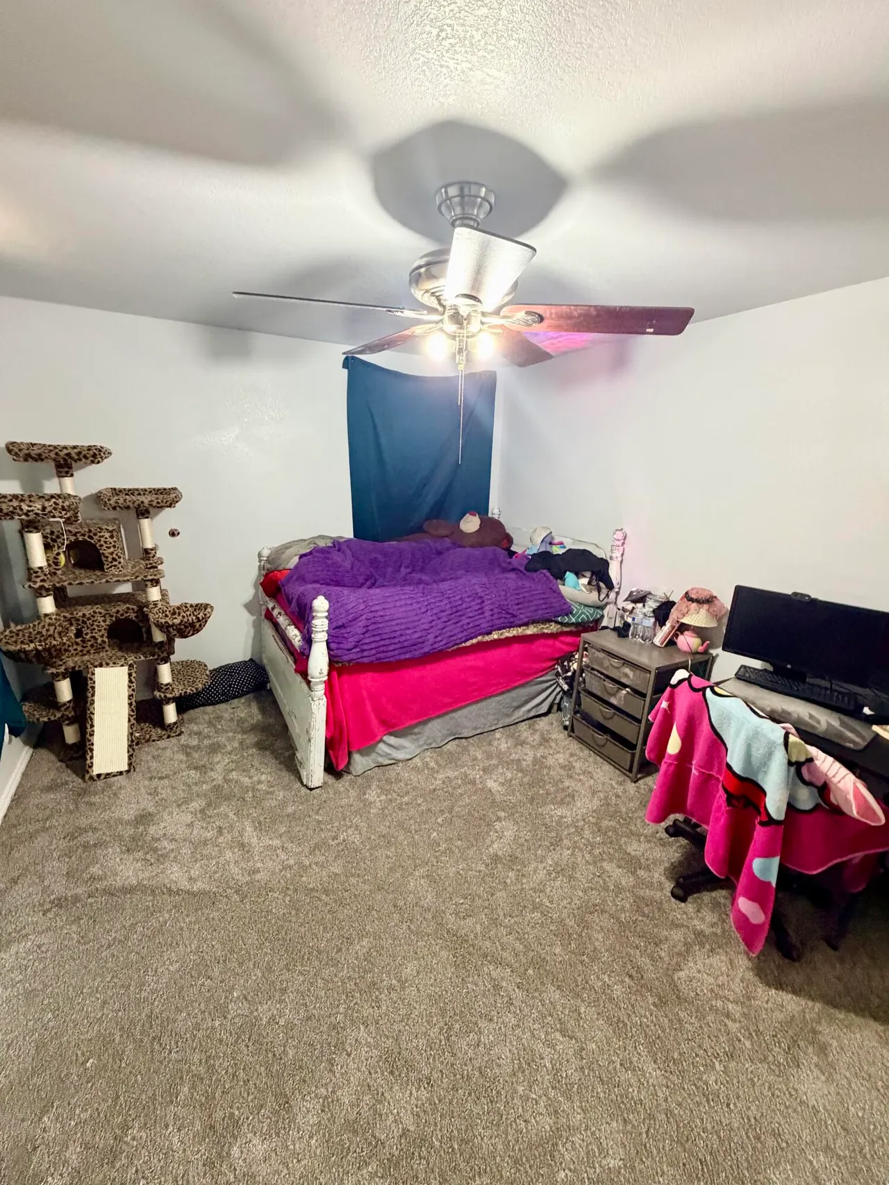 Photo 21 — 5002 Itasca Street, Lubbock, TX 79416