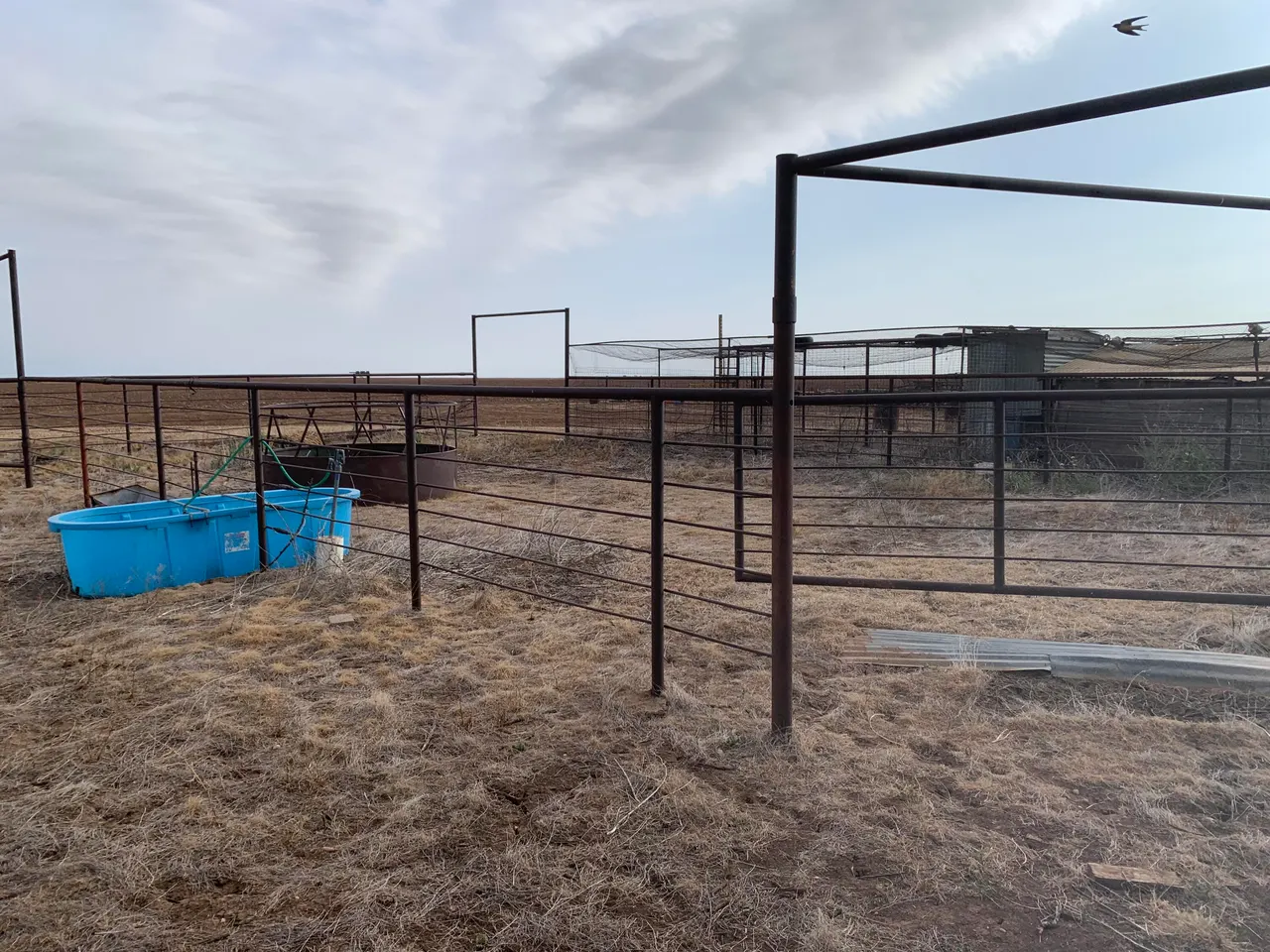 Photo 17 — 1202 FM 836, Crosbyton, TX 79322