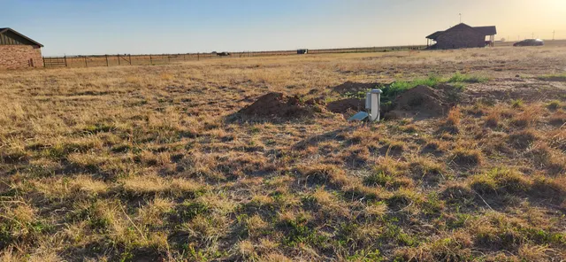 Photo 5 — 17313 N Fm 400, Idalou, TX 79329