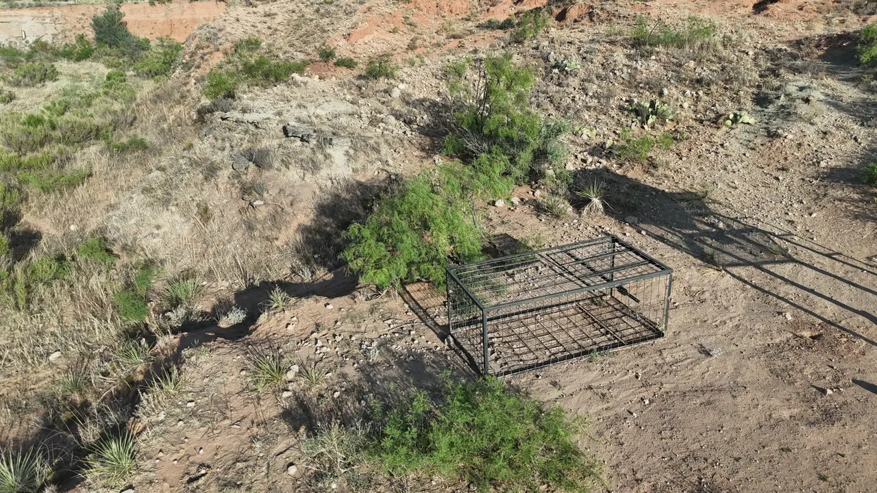 Photo 12 — CR 145, Post, TX 79356