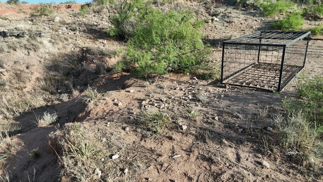 Photo 14 — CR 145, Post, TX 79356