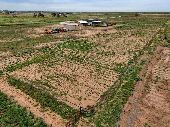 Photo 44 — 6341 Farm Private Road, Smyer, TX 79367