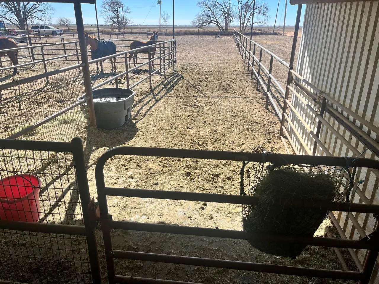 Photo 21 — 2031 County Road 1018, Muleshoe, TX 79347