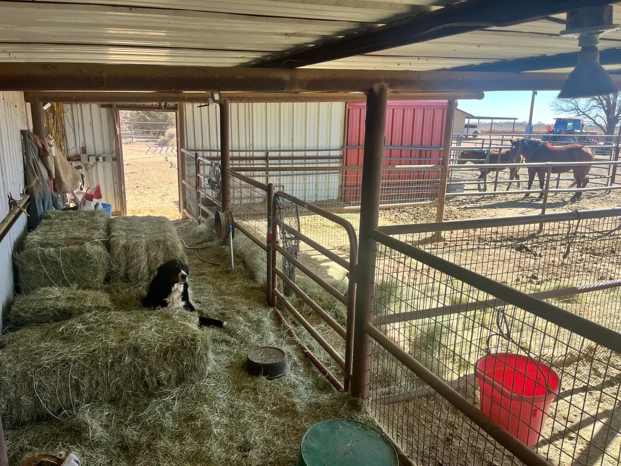 Photo 22 — 2031 County Road 1018, Muleshoe, TX 79347