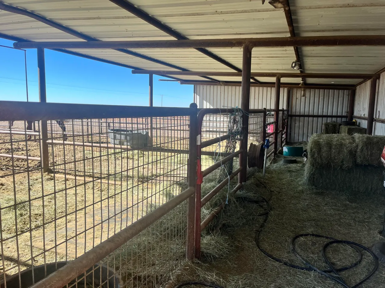 Photo 23 — 2031 County Road 1018, Muleshoe, TX 79347