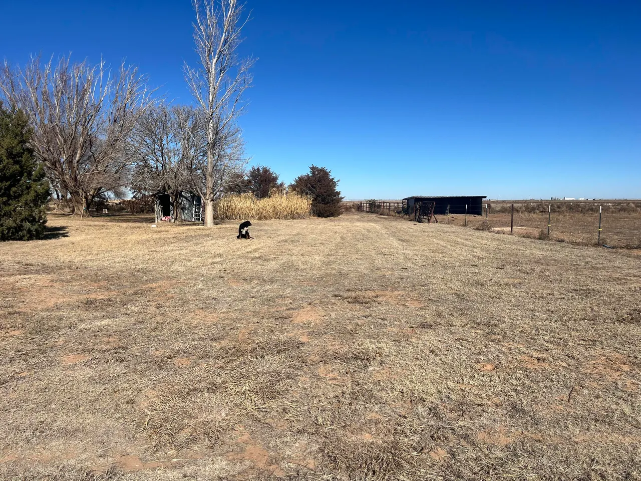 Photo 28 — 2031 County Road 1018, Muleshoe, TX 79347