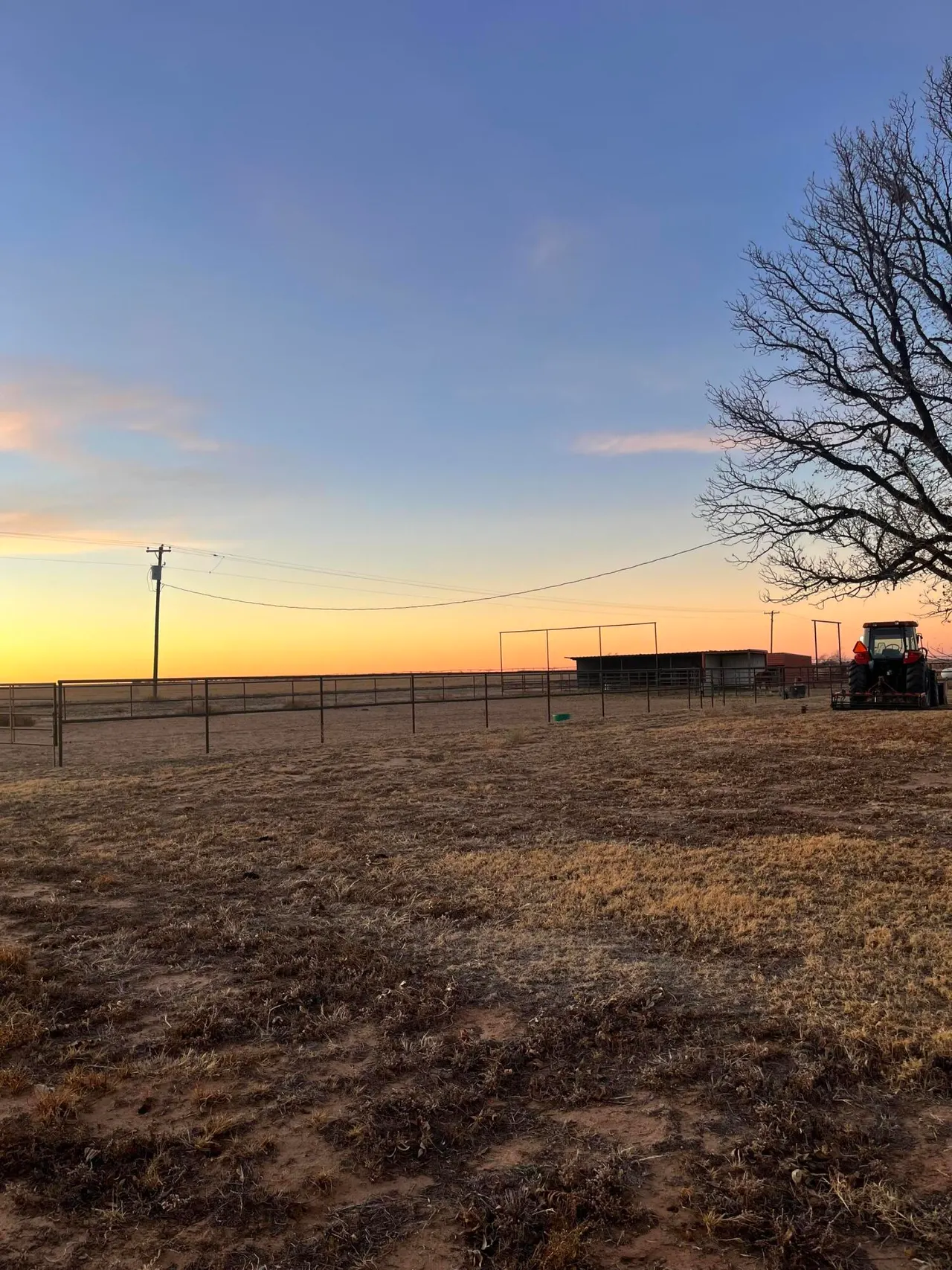 Photo 30 — 2031 County Road 1018, Muleshoe, TX 79347