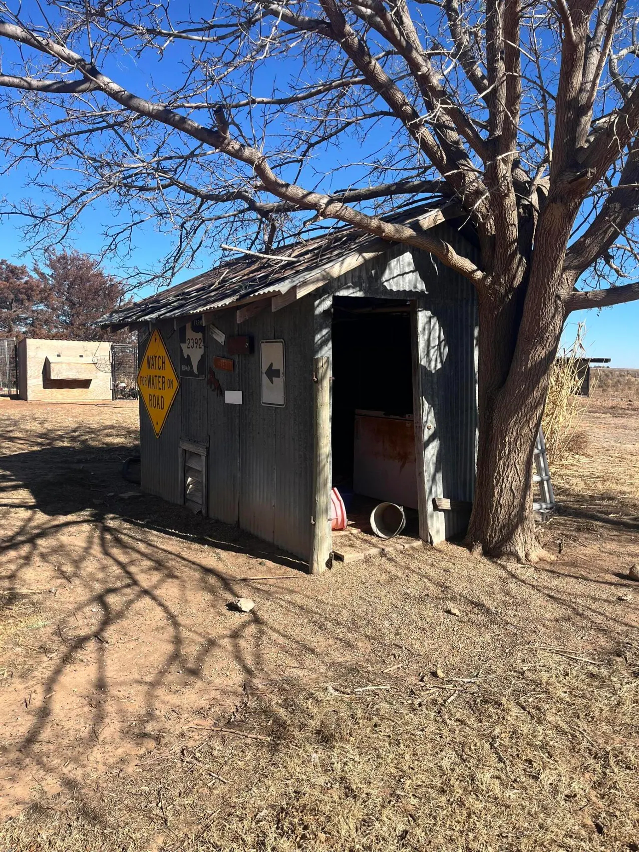 Photo 27 — 2031 County Road 1018, Muleshoe, TX 79347