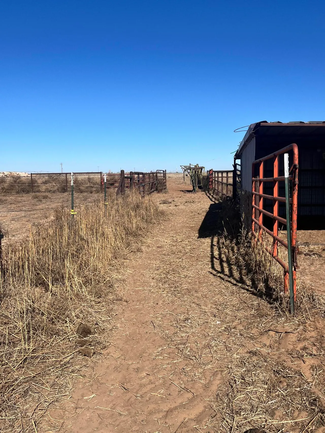Photo 25 — 2031 County Road 1018, Muleshoe, TX 79347