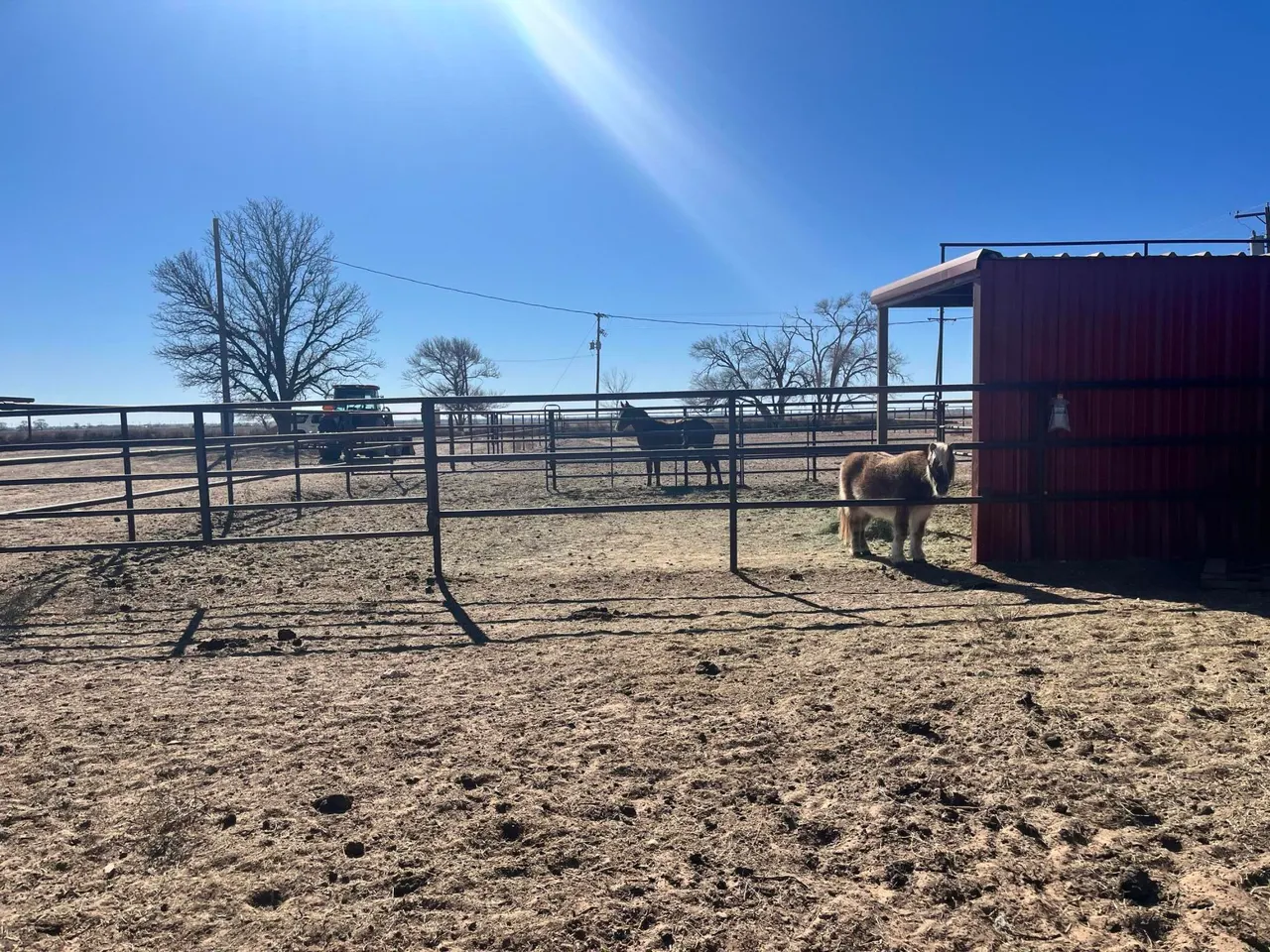 Photo 20 — 2031 County Road 1018, Muleshoe, TX 79347