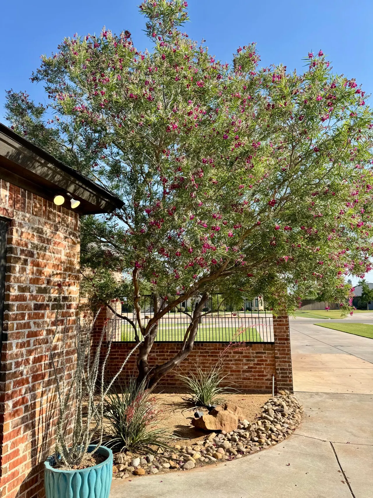 Photo 48 — 5105 County Road 7630, Lubbock, TX 79424
