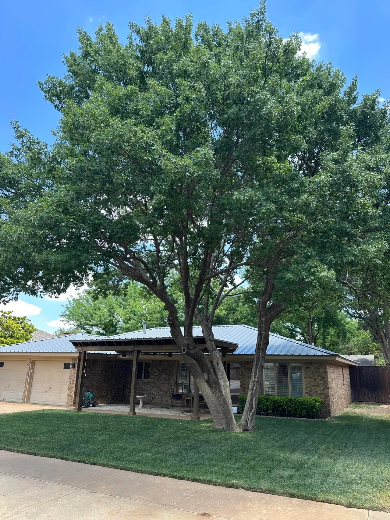 Photo 40 — 8207 Brentwood Avenue, Lubbock, TX 79424