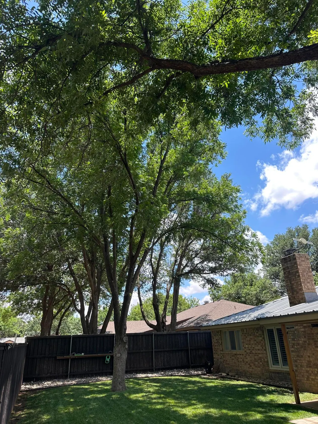 Photo 6 — 8207 Brentwood Avenue, Lubbock, TX 79424