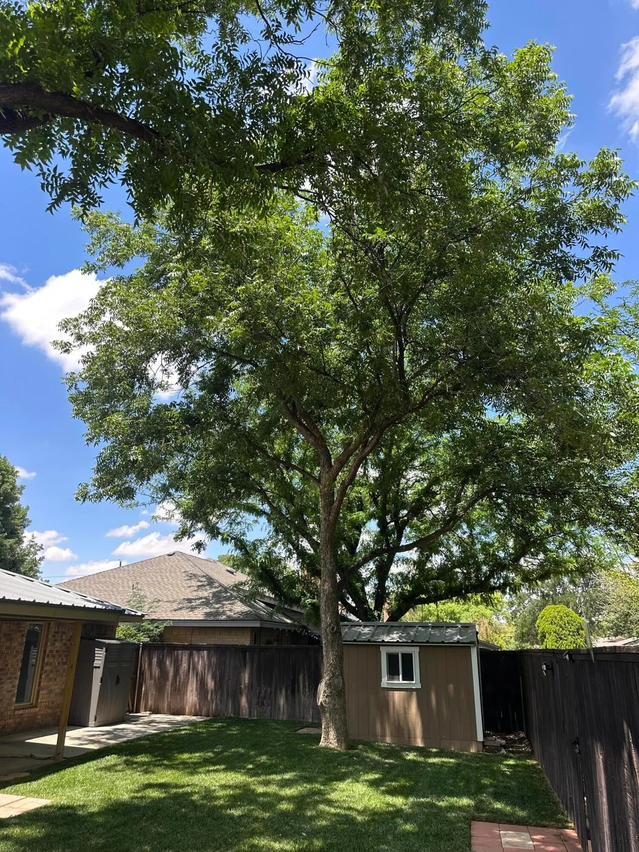 Photo 44 — 8207 Brentwood Avenue, Lubbock, TX 79424