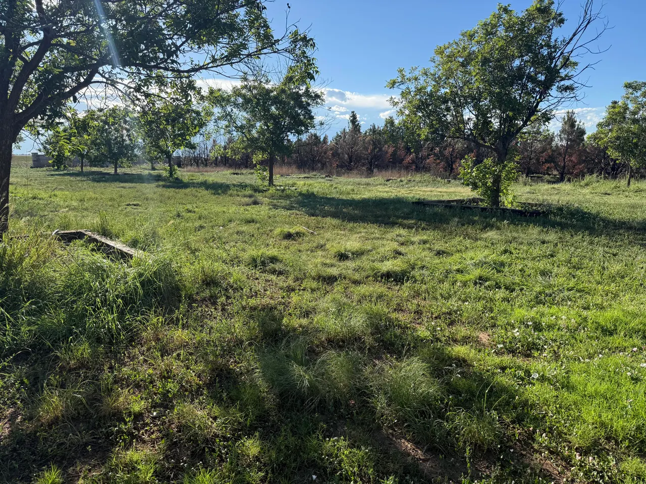 Photo 11 — 77 FM1731, Muleshoe, TX 79347