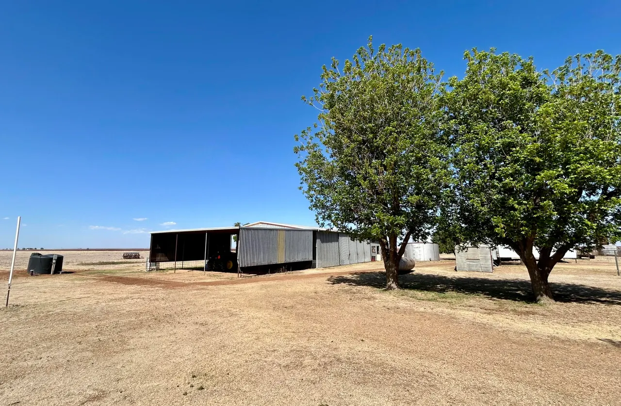 Photo 36 — 2101 FM 97, Lockney, TX 79241