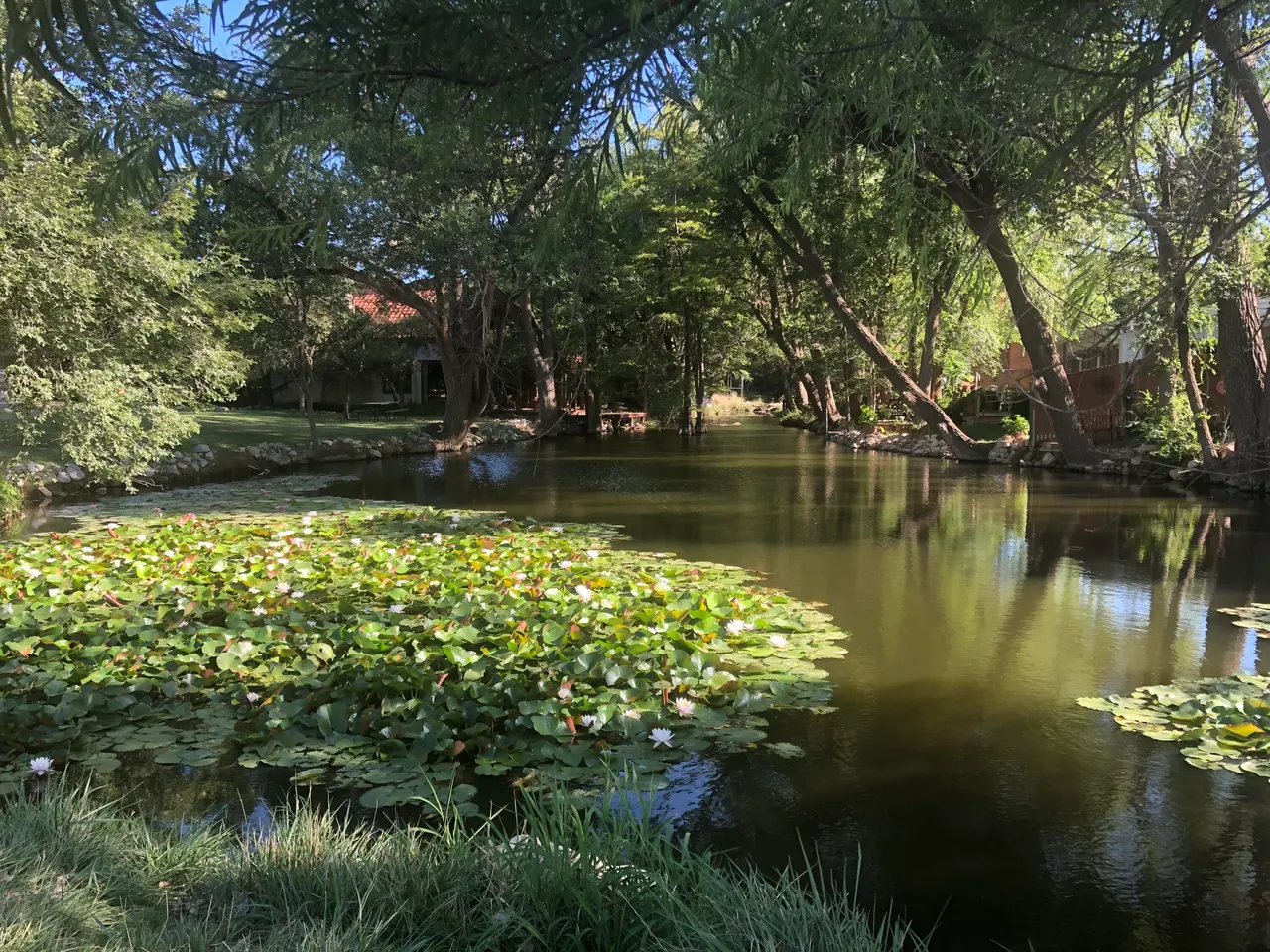 Photo 36 — 29 Highland Drive, Ransom Canyon, TX 79366