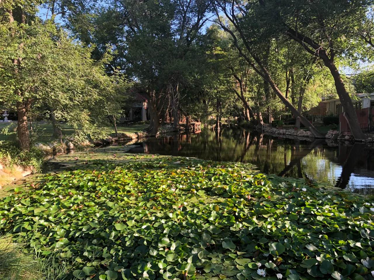 Photo 37 — 29 Highland Drive, Ransom Canyon, TX 79366