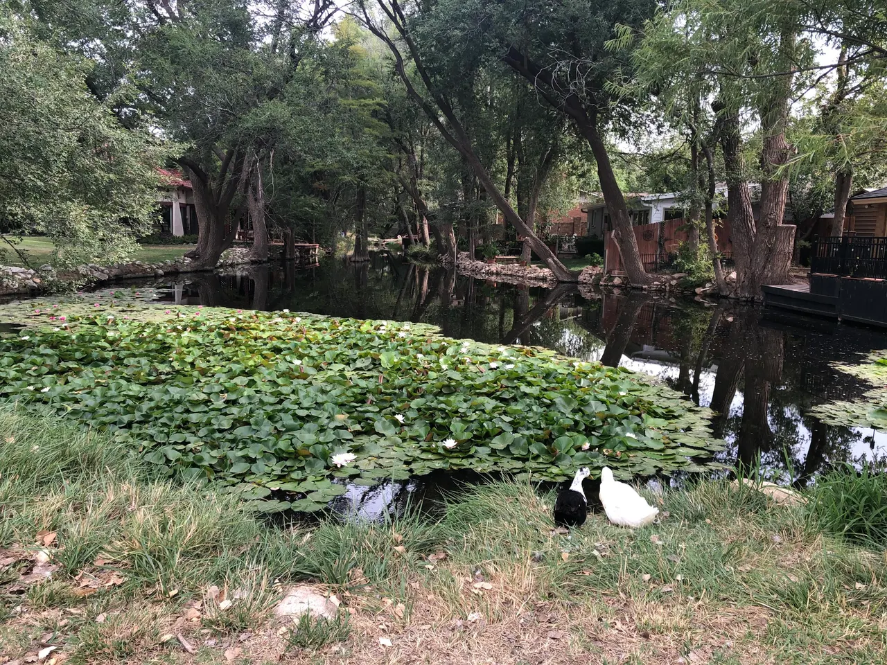 Photo 39 — 29 Highland Drive, Ransom Canyon, TX 79366