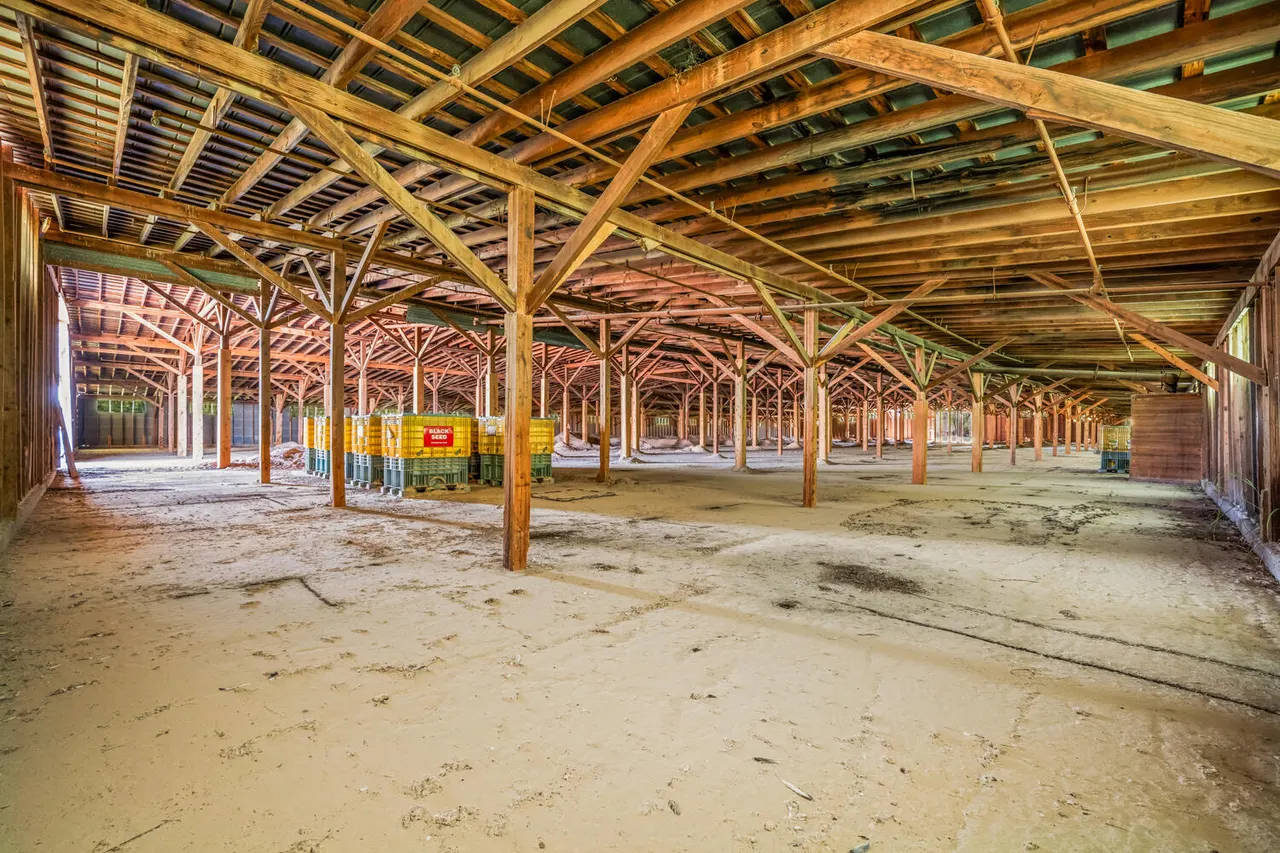 Photo 31 — 901 Underwood Street, Littlefield, TX 79339