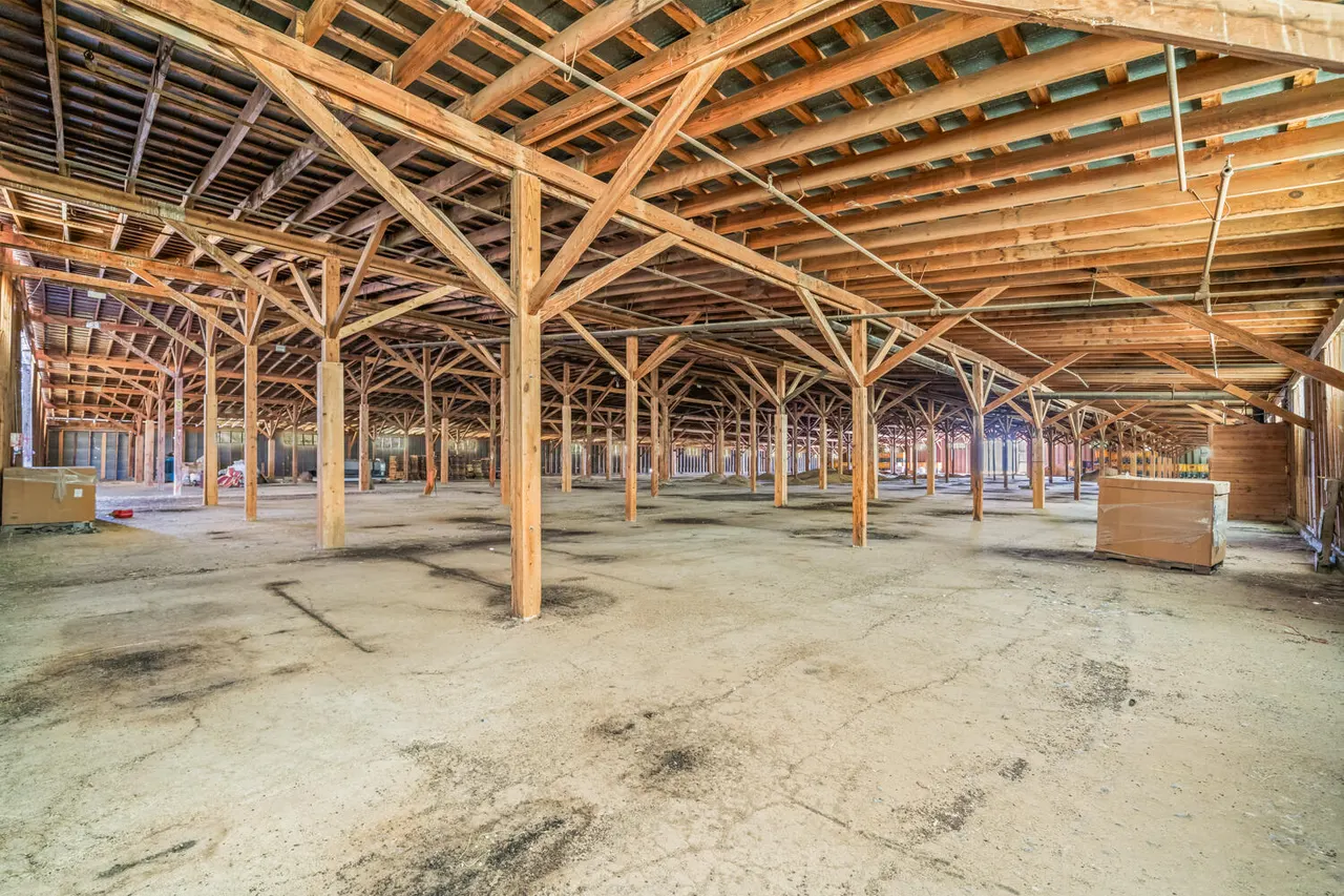 Photo 41 — 901 Underwood Street, Littlefield, TX 79339