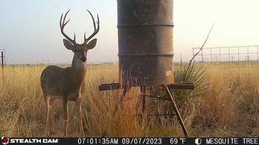 Photo 2 — County Road 7, Turkey, TX 79261