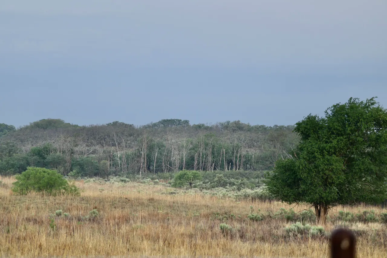 Photo 4 — County Road 7, Turkey, TX 79261