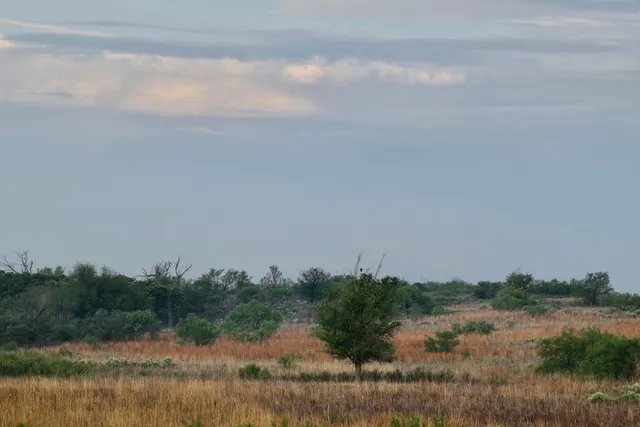 Photo 5 — County Road 7, Turkey, TX 79261