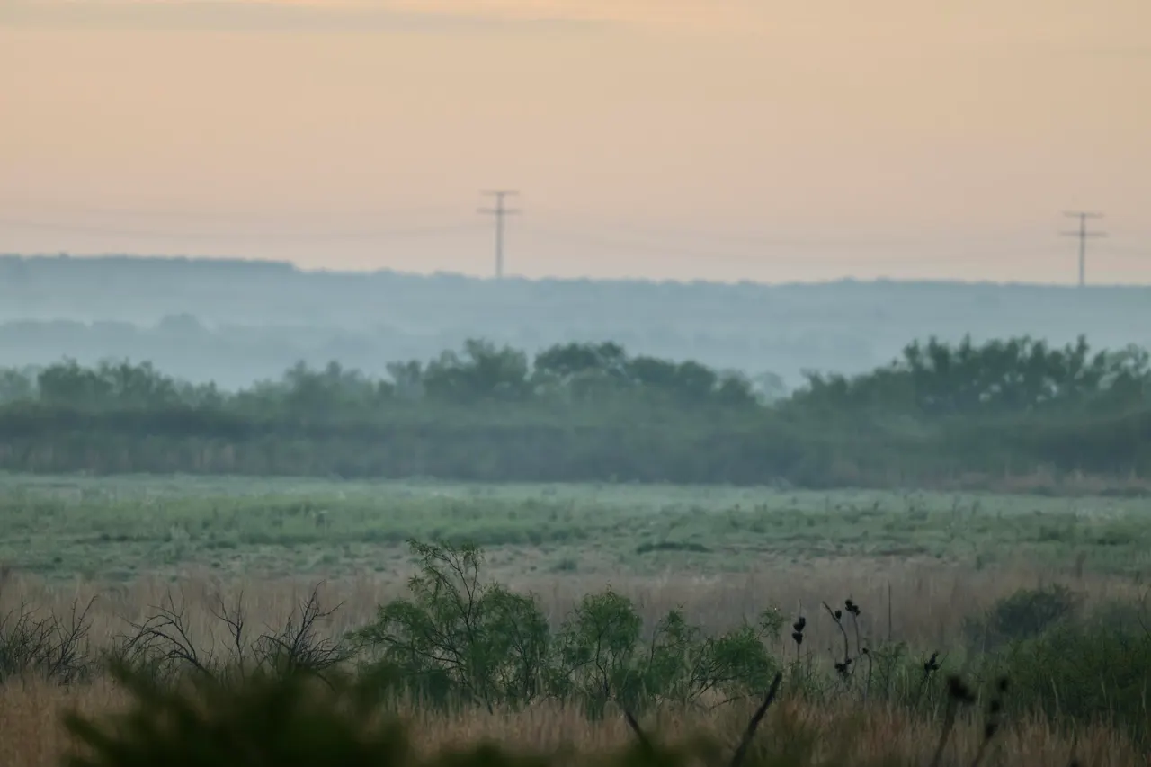 Photo 6 — County Road 7, Turkey, TX 79261