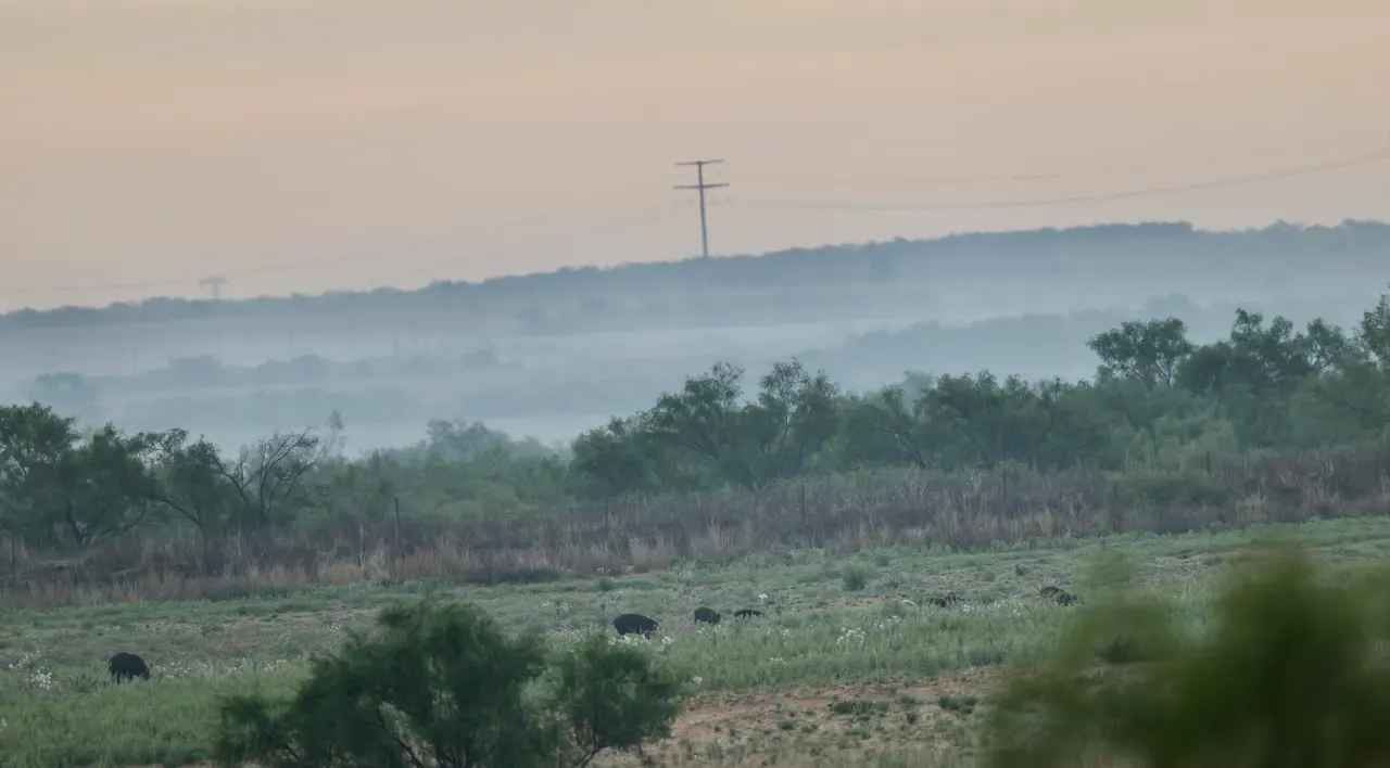 Photo 8 — County Road 7, Turkey, TX 79261