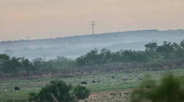 Photo 8 — County Road 7, Turkey, TX 79261