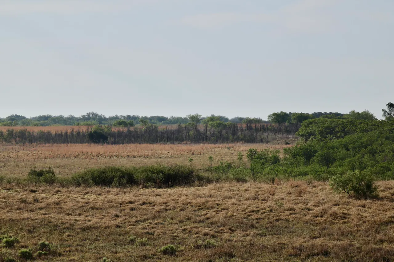 Photo 13 — County Road 7, Turkey, TX 79261