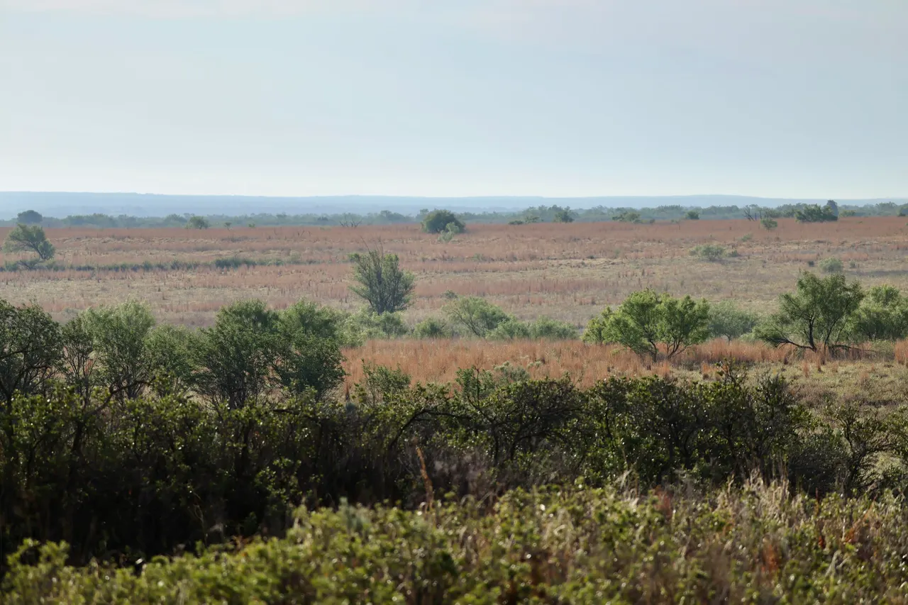 Photo 14 — County Road 7, Turkey, TX 79261