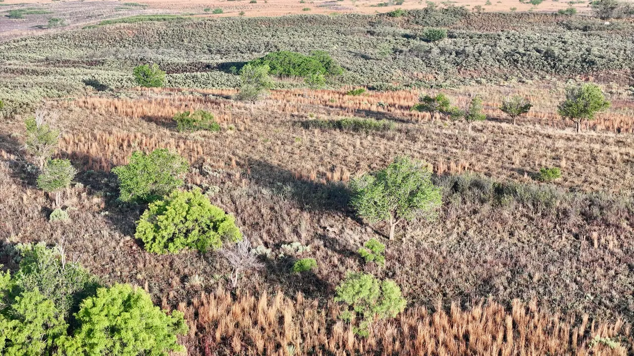 Photo 23 — County Road 7, Turkey, TX 79261