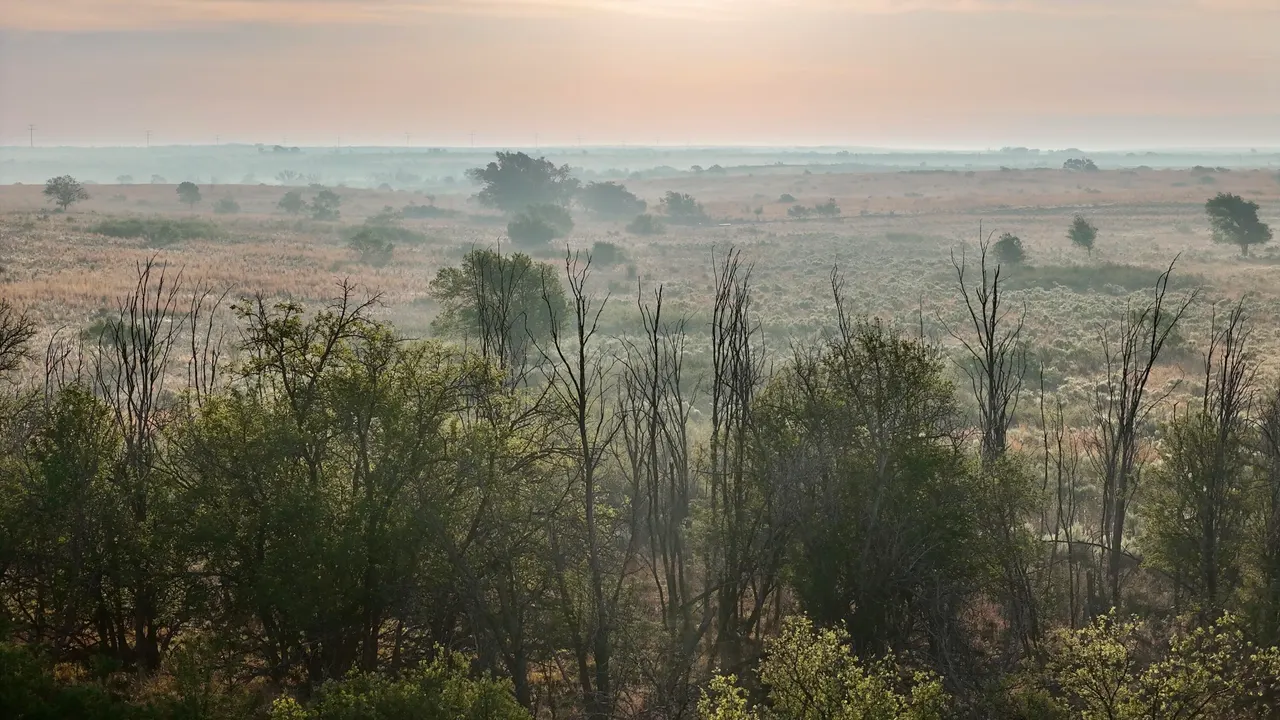 Photo 26 — County Road 7, Turkey, TX 79261