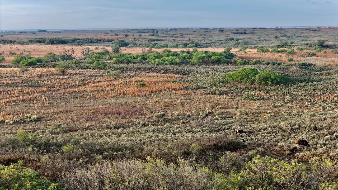 Photo 27 — County Road 7, Turkey, TX 79261