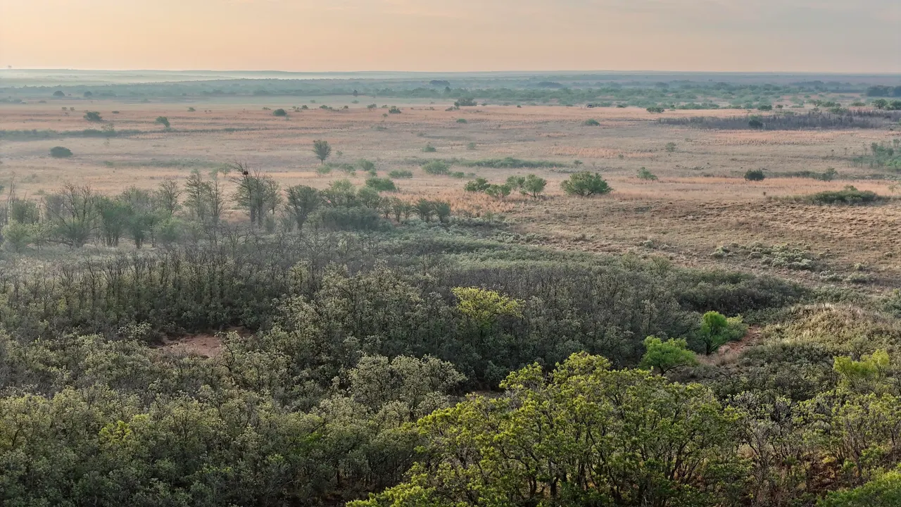 Photo 28 — County Road 7, Turkey, TX 79261