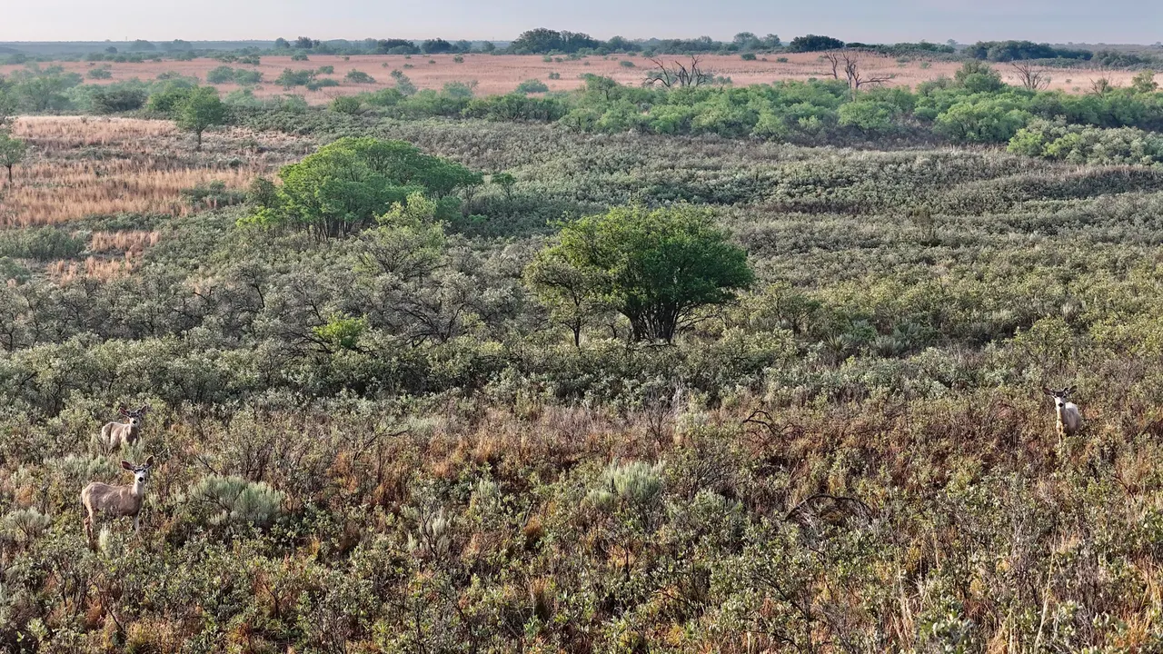 Photo 32 — County Road 7, Turkey, TX 79261