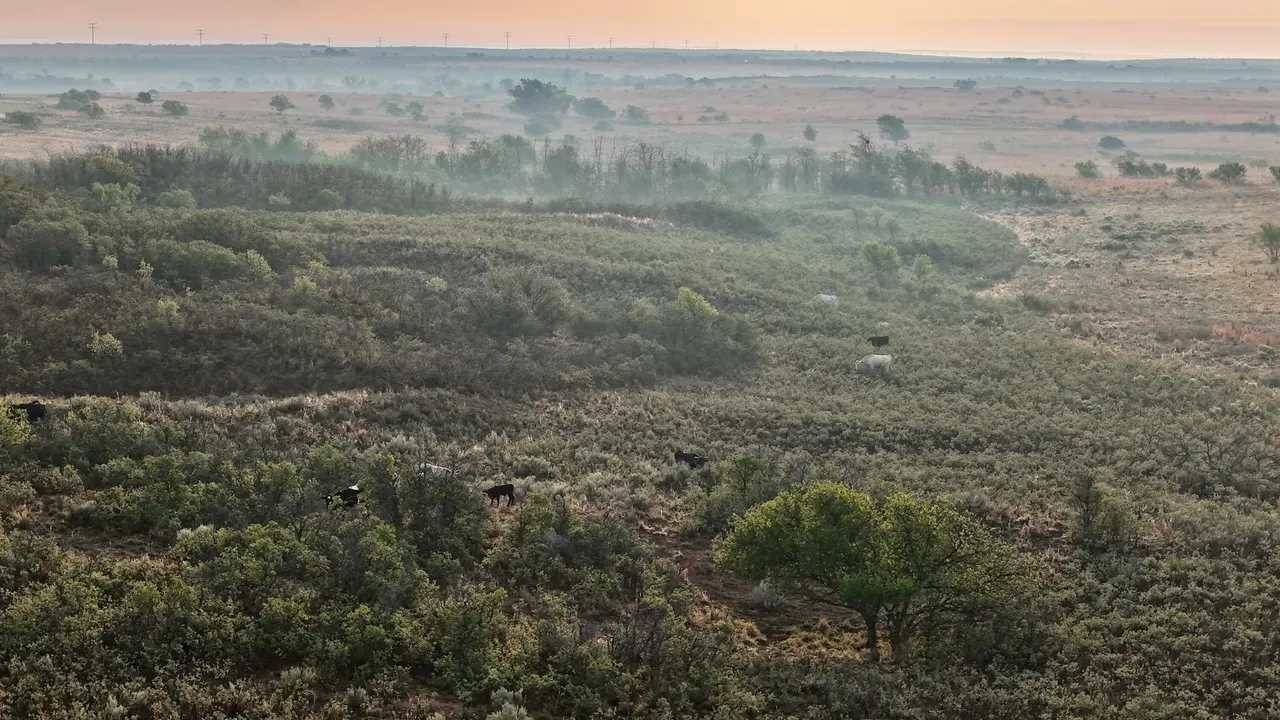 Photo 33 — County Road 7, Turkey, TX 79261