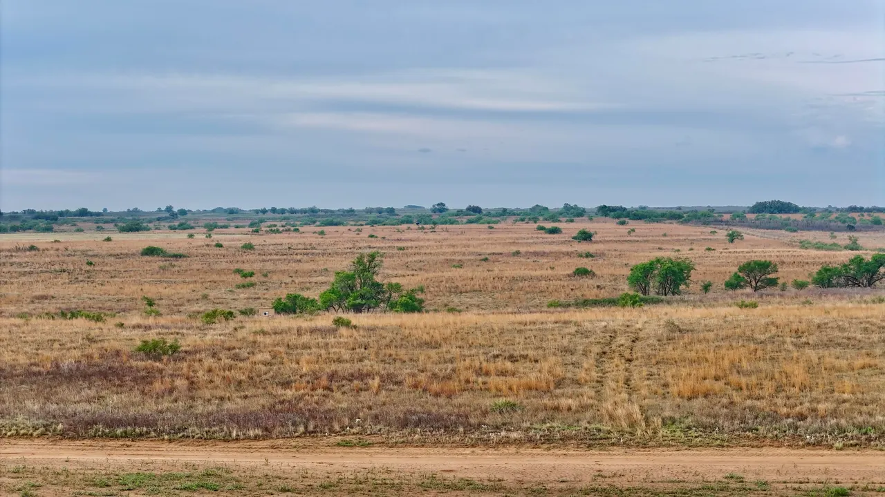 Photo 38 — County Road 7, Turkey, TX 79261