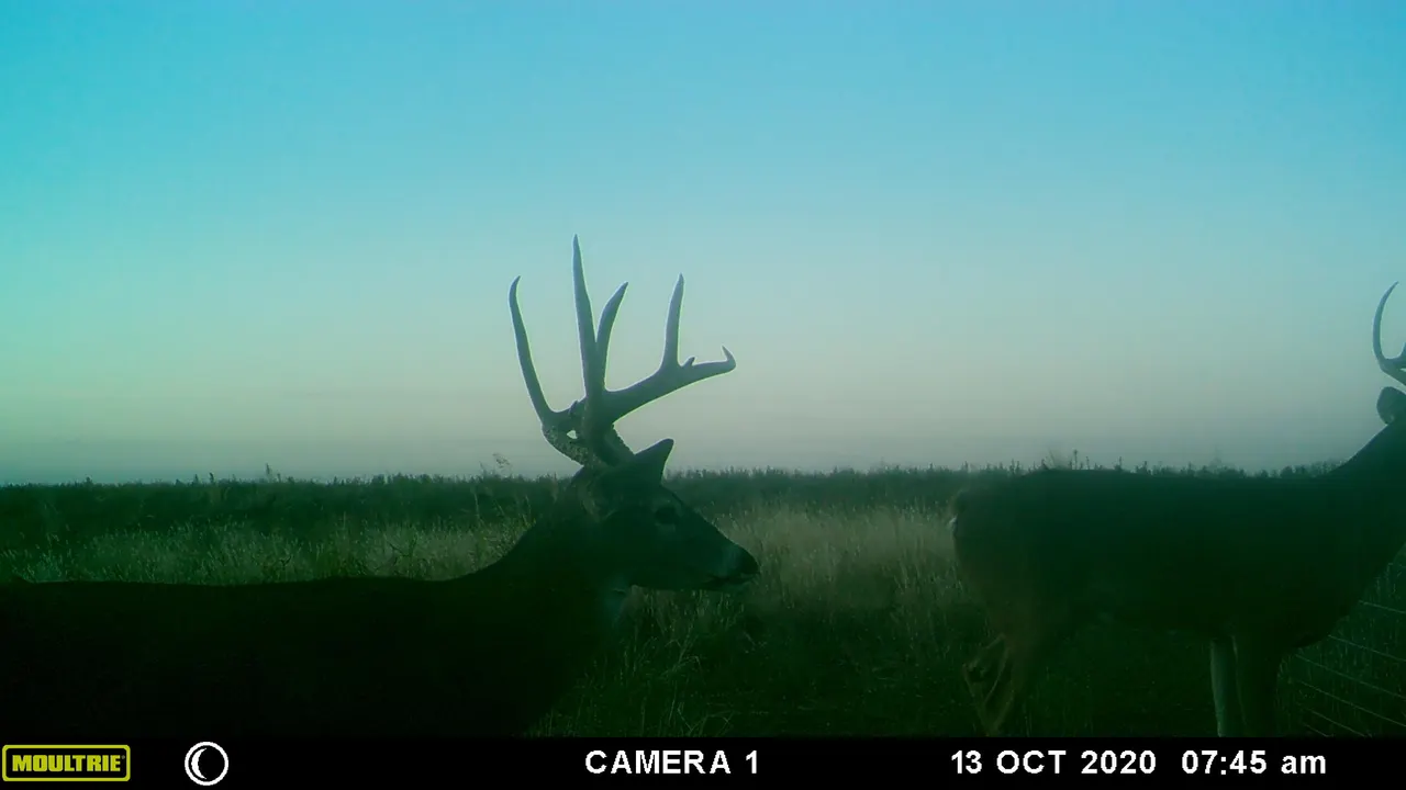Photo 50 — County Road 7, Turkey, TX 79261
