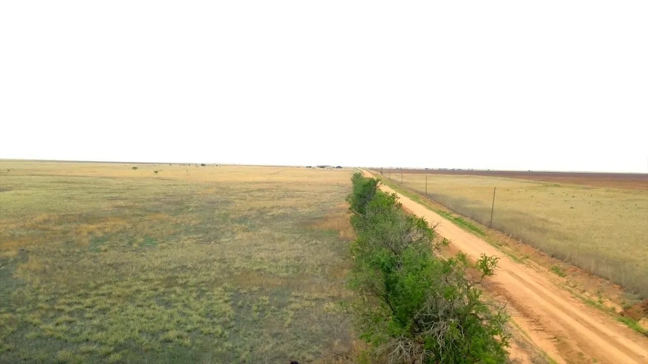 Photo 11 — AB 1580 BLK A-4 SEC 38 W/2 OF NW/4, Hale Center, TX 79041