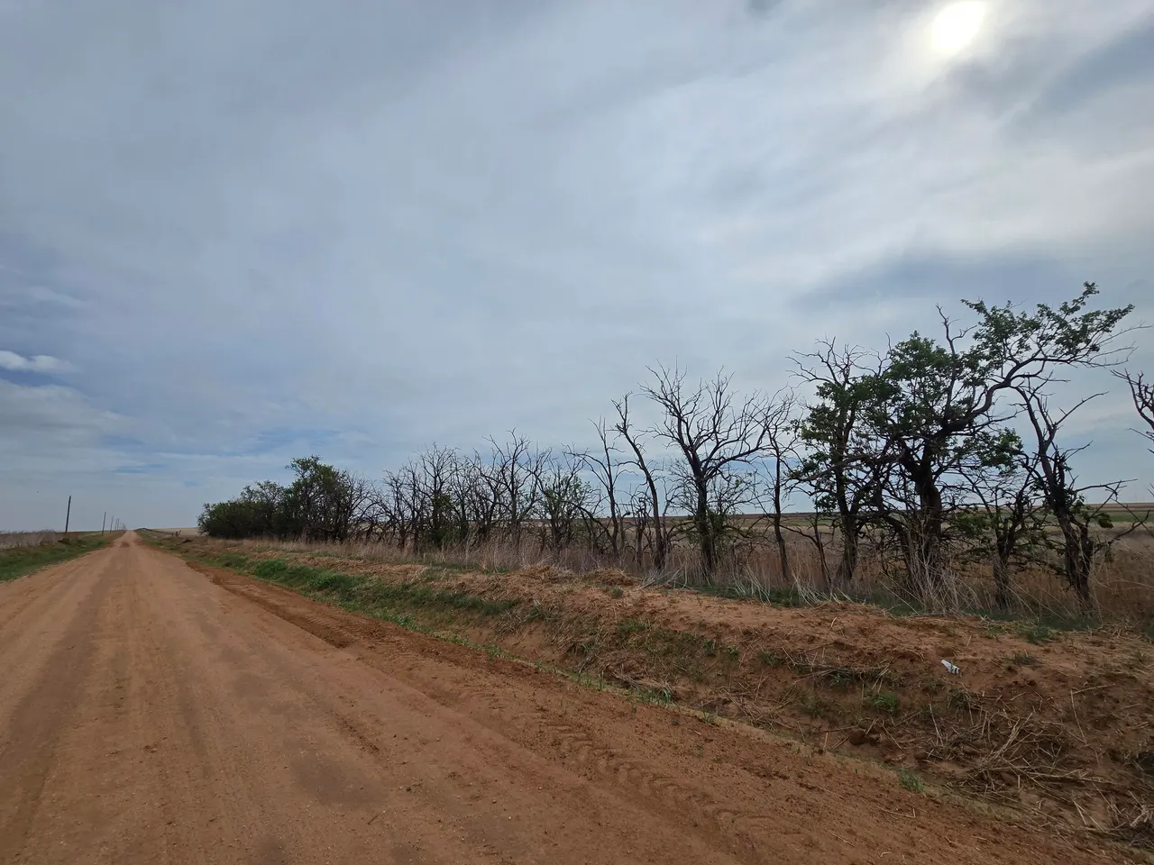 Photo 12 — AB 1580 BLK A-4 SEC 38 W/2 OF NW/4, Hale Center, TX 79041